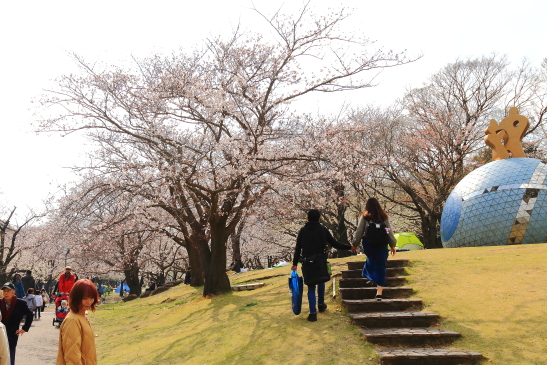 IMG_8324180331平塚総合公園の桜.JPG